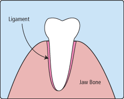 Tooth Extractions Jacksonville, AR Dentist