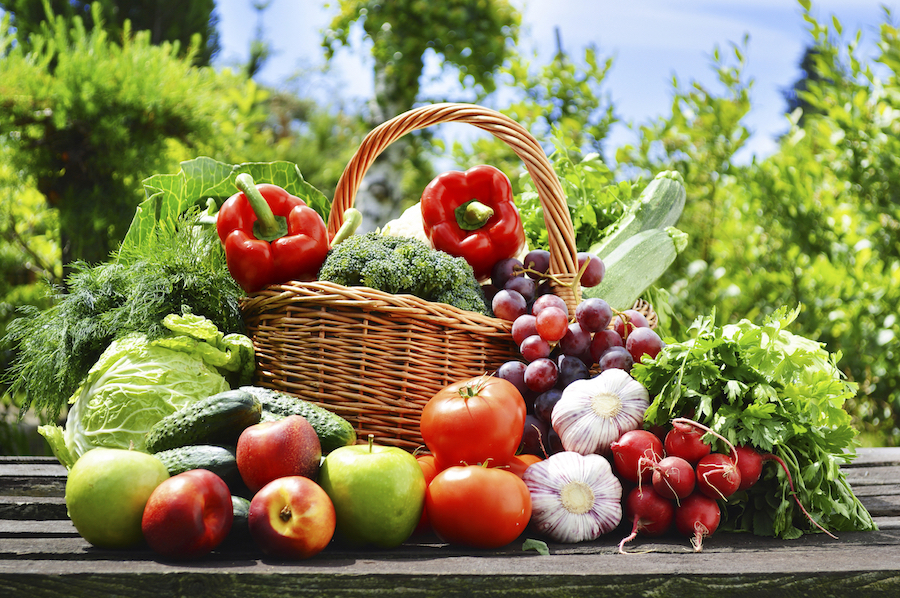 Fresh organic vegetables in wicker basket in the garden