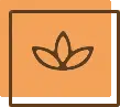 Lotus flower icon on orange background, representing wellness or spirituality for Cooper family website.